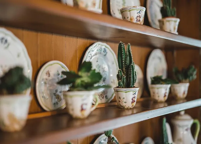 Appartamento Alpine Chalet Turquino