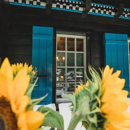 Alpine Chalet Turquino 아파트